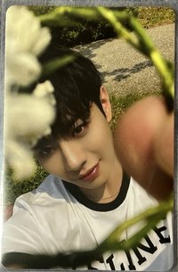 迷五 playjelly Mellow 專輯卡 迷五專卡