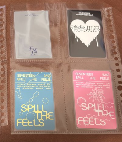 洪知秀 文俊輝 小卡