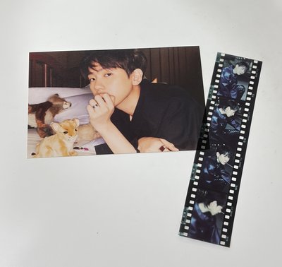 EXO專輯4張合售｜DON’T FIGHT THE FELLING+Bambi+KAI+SC｜出清價（可議價）