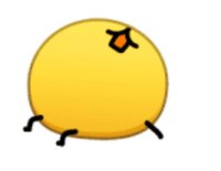 마코