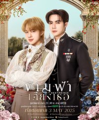 The Next Prince 穿越天際靠近你