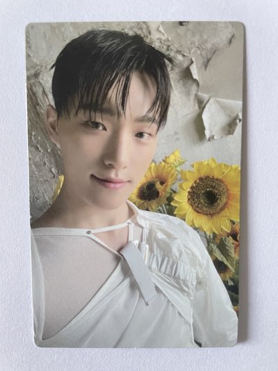 Seventeen 9期 會員禮 小卡 Dino 李燦