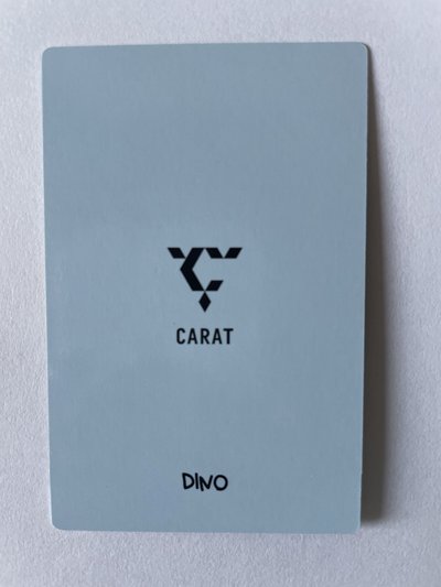 Seventeen 9期 會員禮 小卡 Dino 李燦