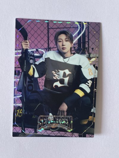 Seventeen home 2025 隨機 小卡 the8 19