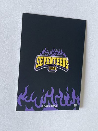 Seventeen home 2025 隨機 小卡 the8 19