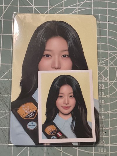 (現貨兩張不拆售）ive 2025 fan concert 張員瑛 證件照 小卡