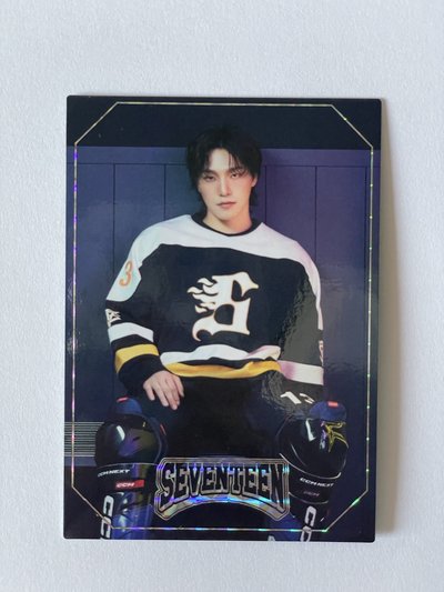 Seventeen home 2025 隨機 小卡 Dino 24