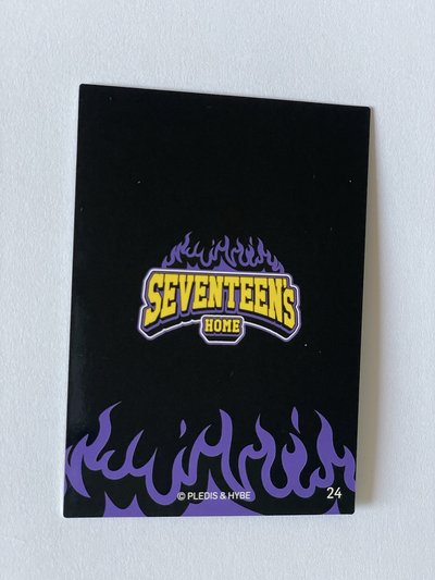Seventeen home 2025 隨機 小卡 Dino 24