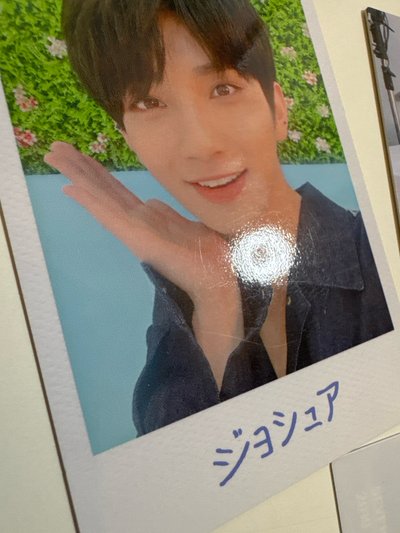 2019 HARU｜秀｜隨機卡（5張不拆售）