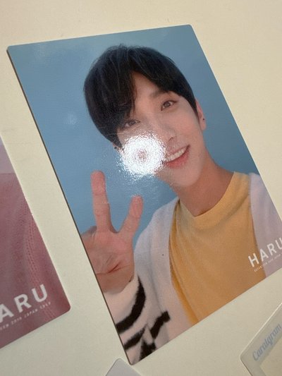 2019 HARU｜秀｜隨機卡（5張不拆售）