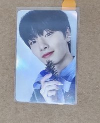 聖誕  阿拉丁特典卡