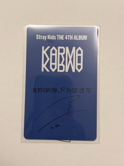 KARMA kms 1.0 城 中背