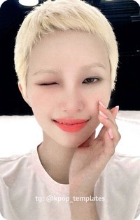 We are ms 2.0 特典卡 ver.B