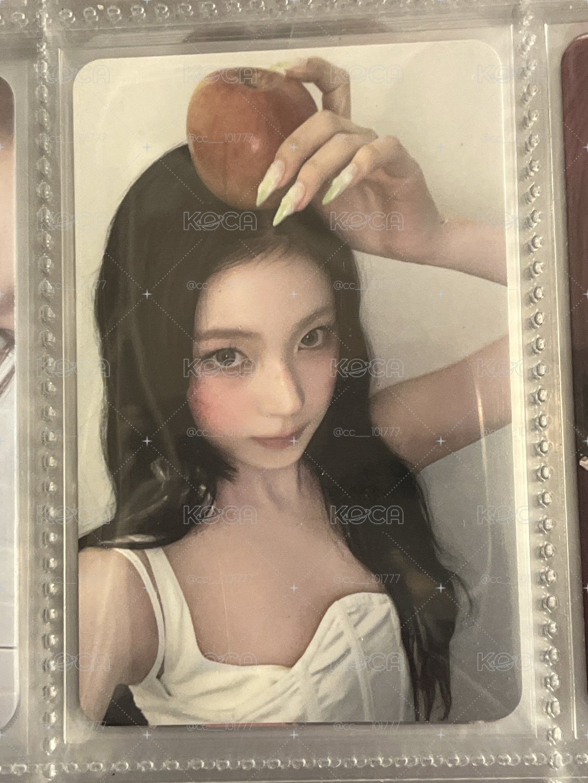 蘋果圭小卡