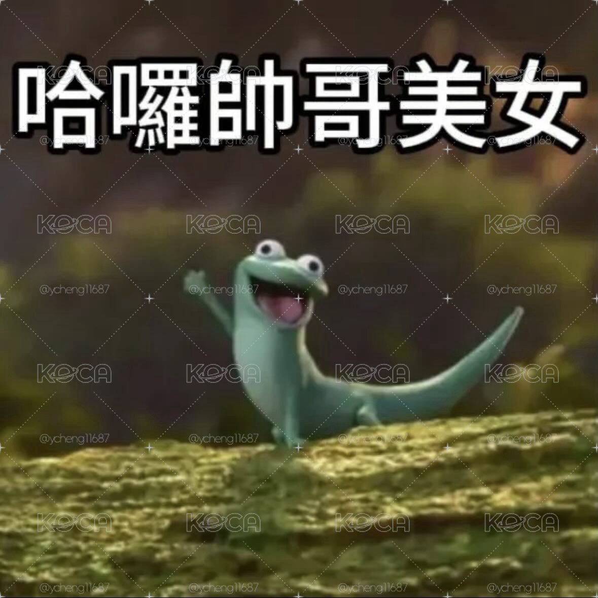NEXZ 迷三 未拆簽售專🧱