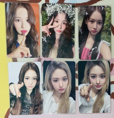 NMIXX小卡 專區🐨🐻‍❄️🐰🐤🐶🐱