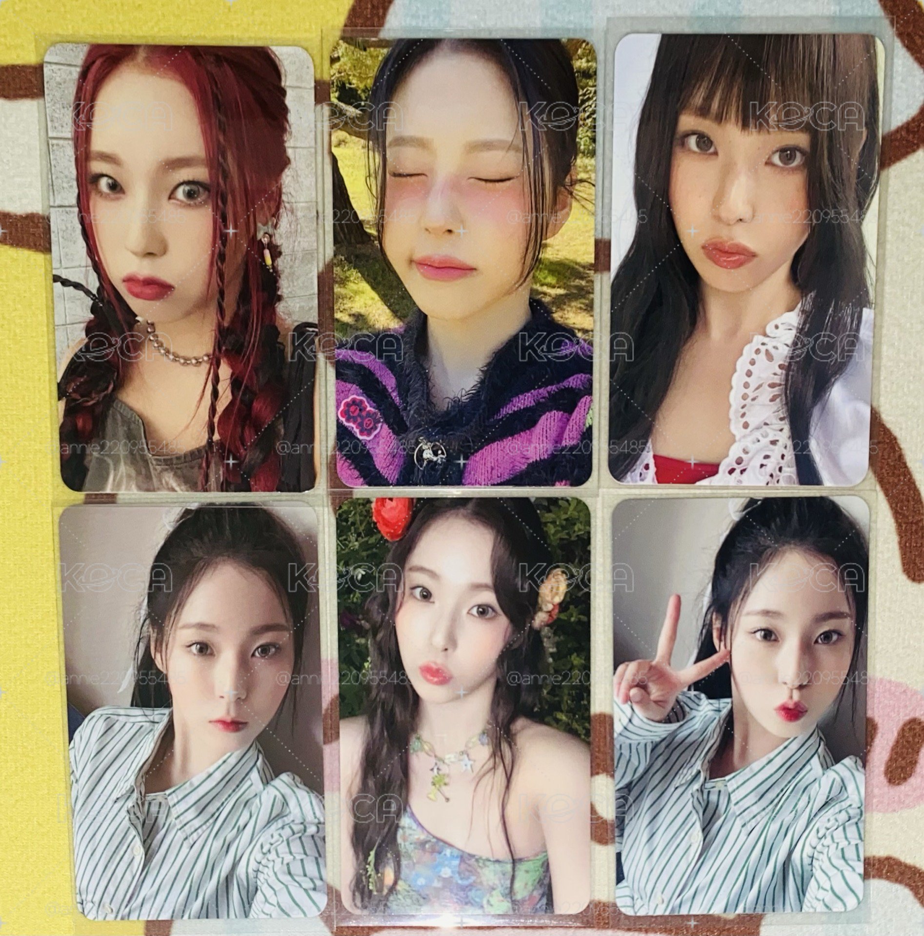 NMIXX小卡 專區🐨🐻‍❄️🐰🐤🐶🐱