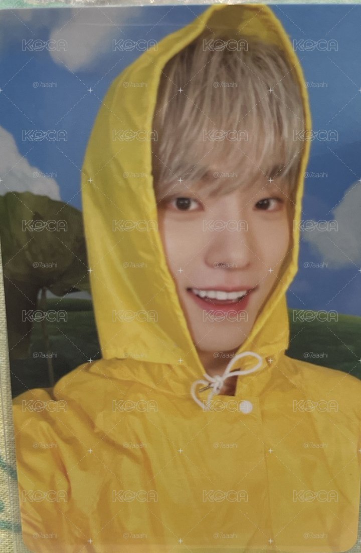 SEVENTEEN 11TH MINI ALBUM 