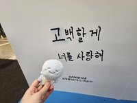 小紫帽