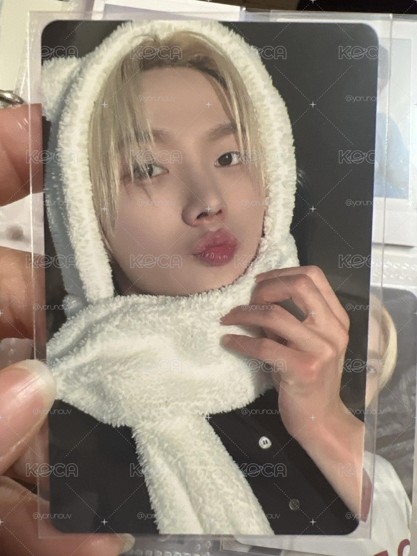 🍀圍巾朴 kkt