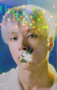 迷五 日咖 特典卡 日咖單封特典 叼花星