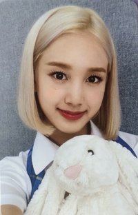 STEREOTYPE 水杯卡 周邊卡 