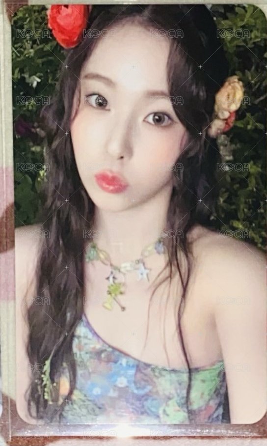 🌸圭貼紙卡