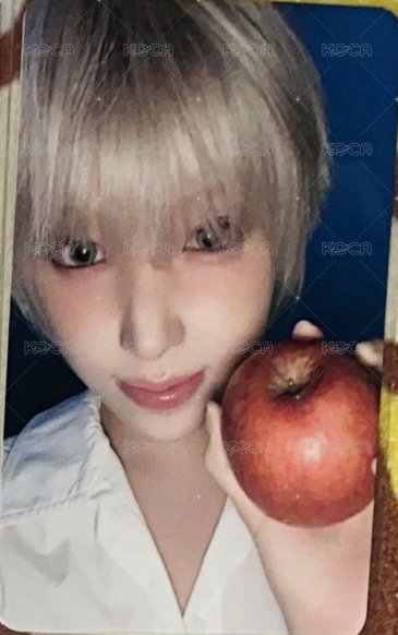 我也是蘋果友