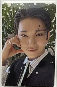 小鹿亂撞