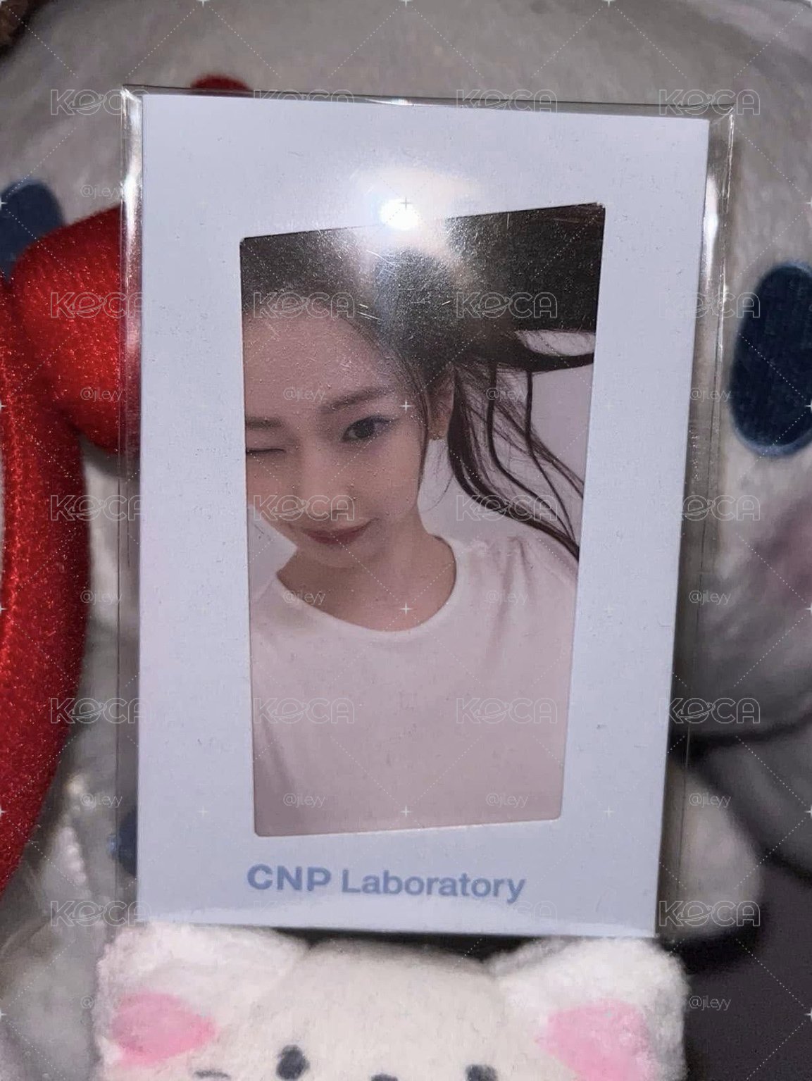 cnp 1.0 露