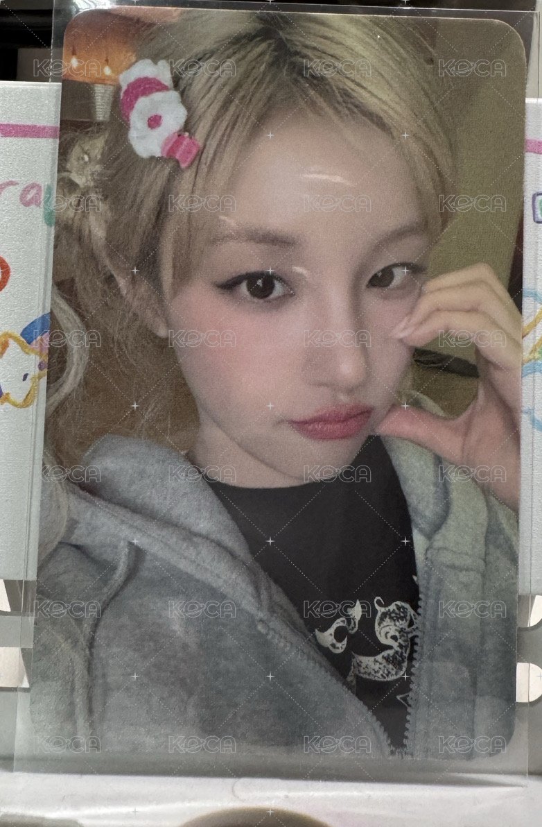 楠藝 上海簽售