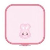 ANITEEZ IN TREASURE TAIPEI ONLY 拉鍊收納袋 MESH POUCH