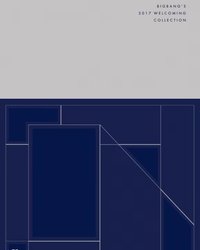 BIGBANG’S 2017 WELCOMING COLLECTIONS