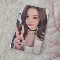 白蘭地圓*有損（在圖二、圖三）