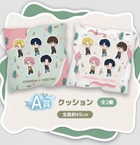 SEGA一番賞   抱枕 A賞