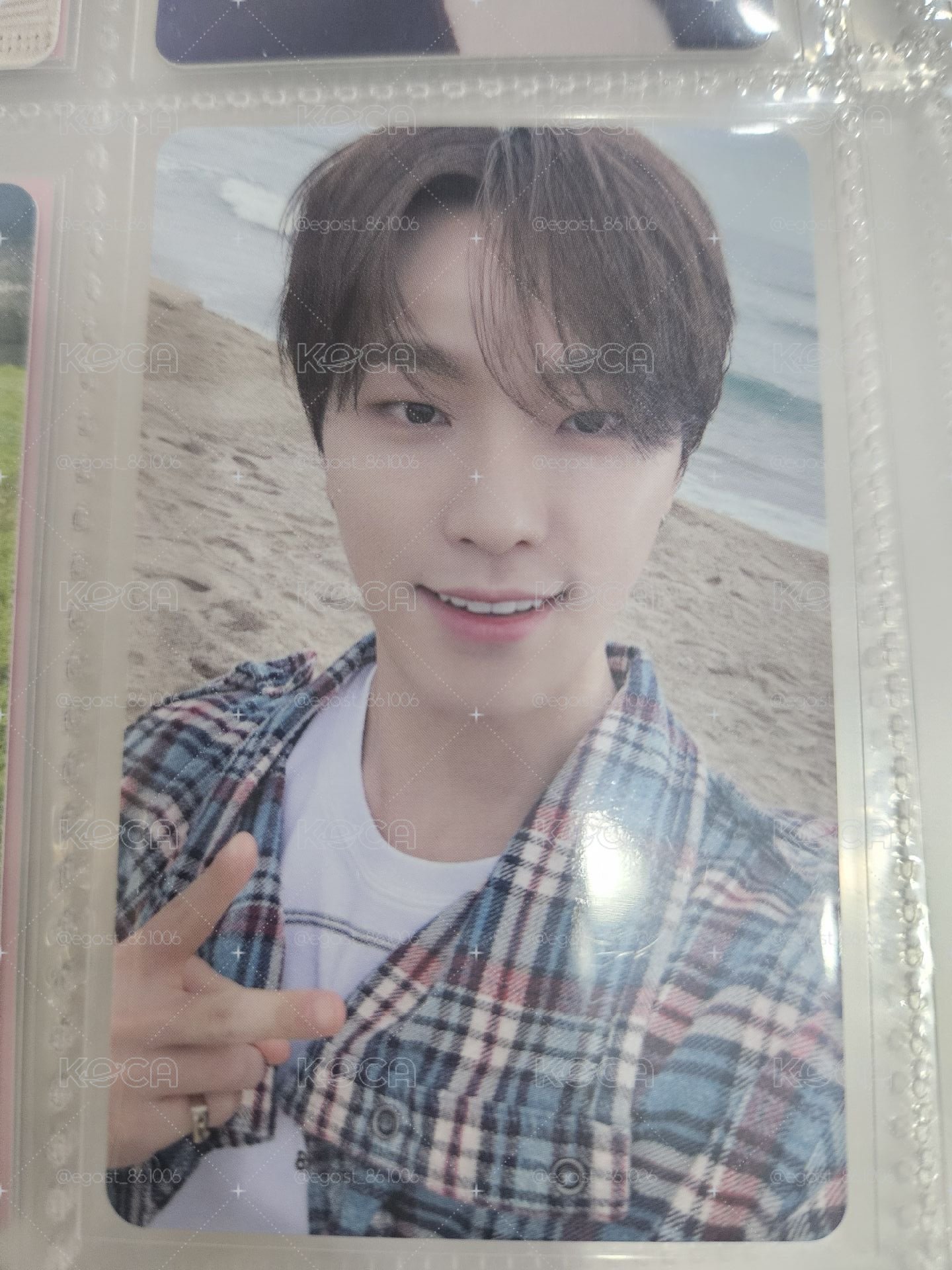 SEVENTEEN DINO 燦 消費期限東京巨蛋場限卡