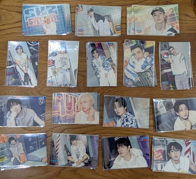 燦/旻/彬/辰/城/菲/玟/寅桑拿小卡、貼紙