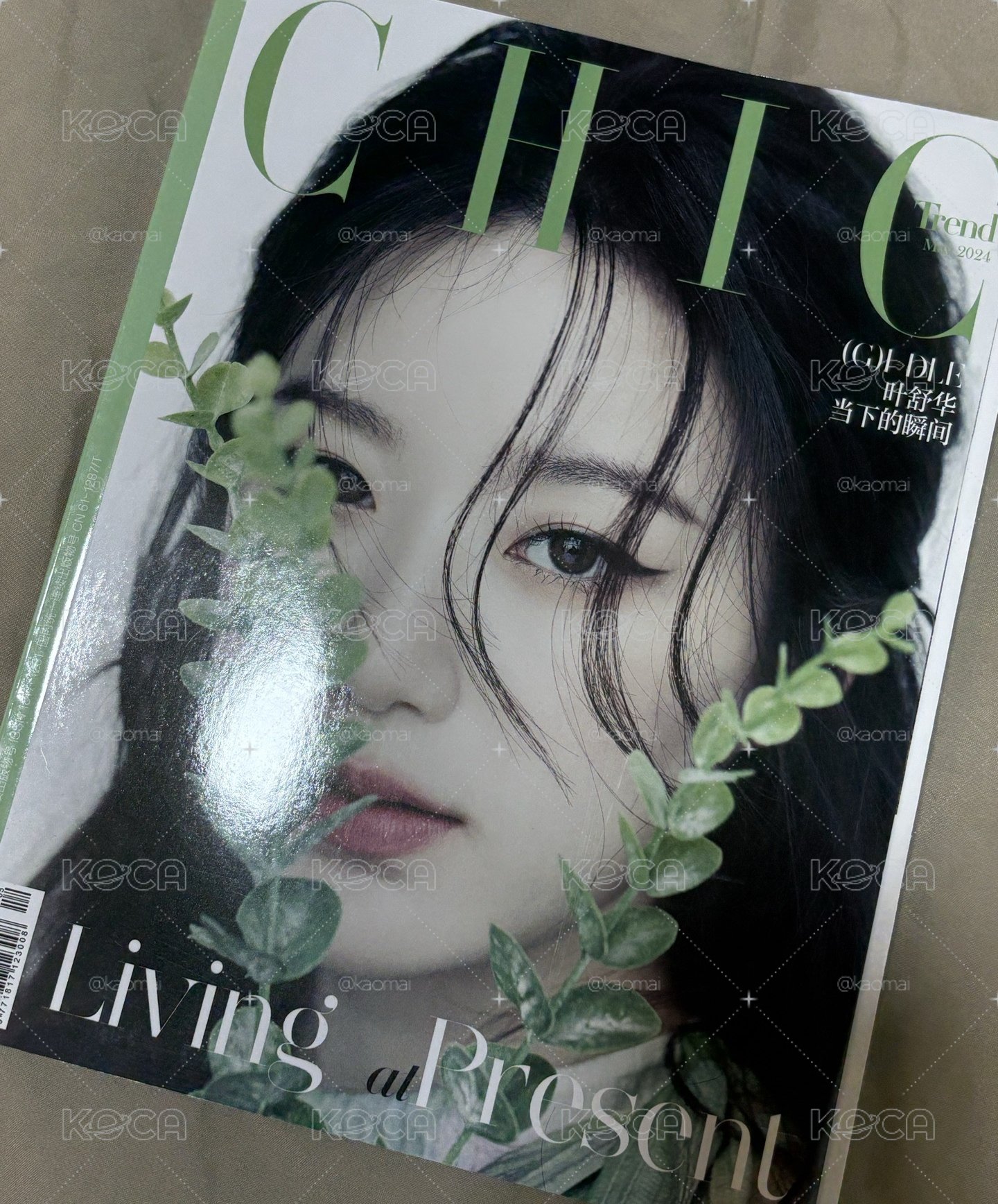 葉舒華CHIC雜誌