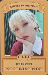 C.I.T.T(Cheese In The Trap)  專輯卡 