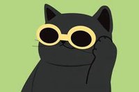 Hsuan（紙箱可能二手 其他包材全新）