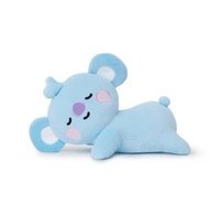 BT21 Baby 趴娃 19