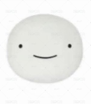 BBNEXDO抱枕