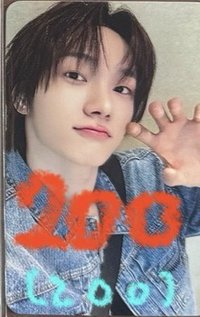 我是老虎不是貓咪