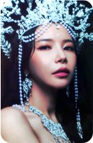 Solaris 台北場 隨機卡 