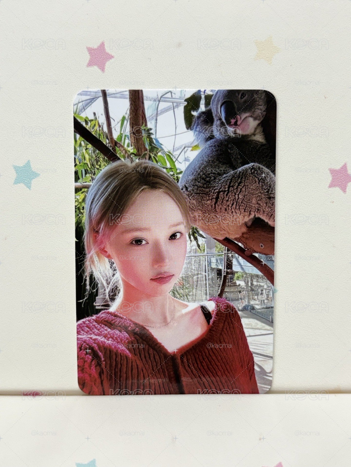 無尾熊🐨🀄️背冬｜迷五星光卡 四星冬