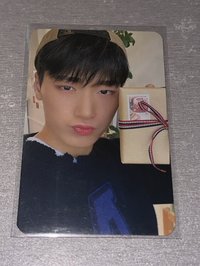 貓貓送禮（50）