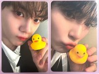 迷五AM鴨子金奎彬