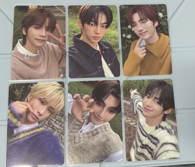 TWS 語音卡+年曆卡 一套