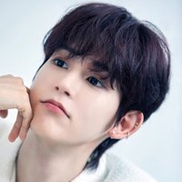 SEO WON