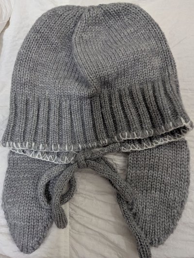 旻/辰/菲毛帽無海報